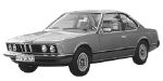 BMW E24 B254D Fault Code