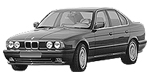 BMW E34 B254D Fault Code