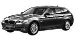 BMW F11 B254D Fault Code